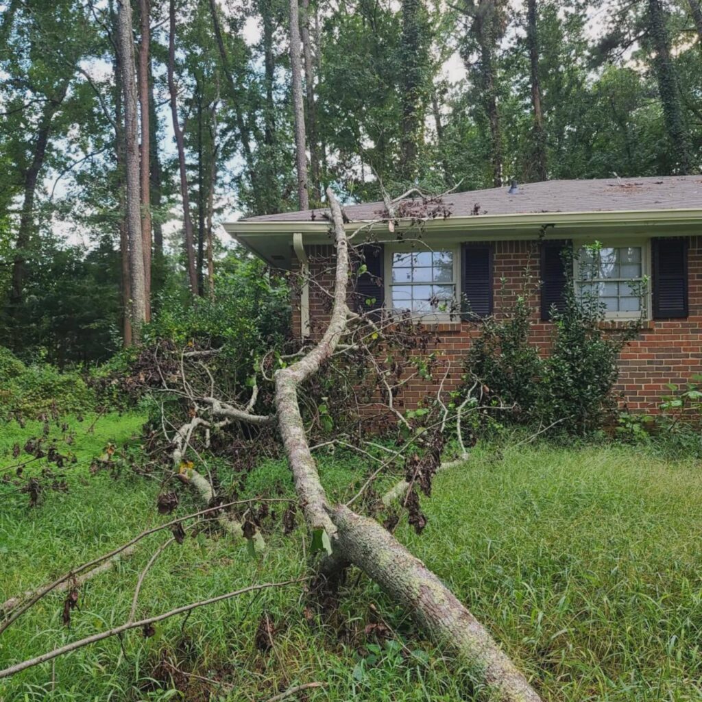 Emergency Tree Removal - Big Red Tree Service