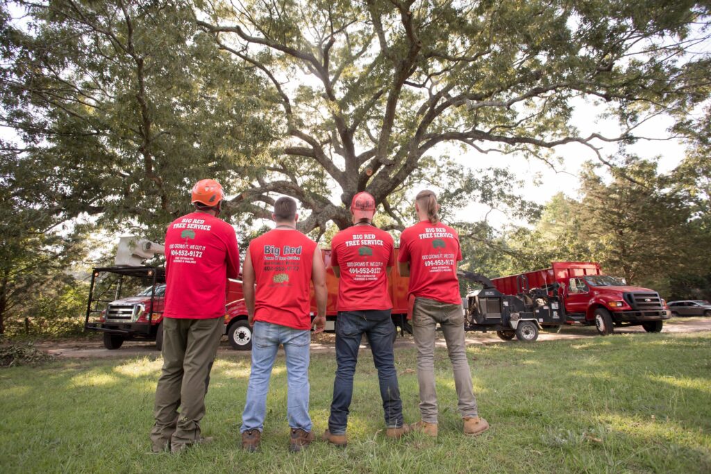 Big Red Tree Service - Loganville, Snellville, Conyers, Grayson and Surrounding_Main