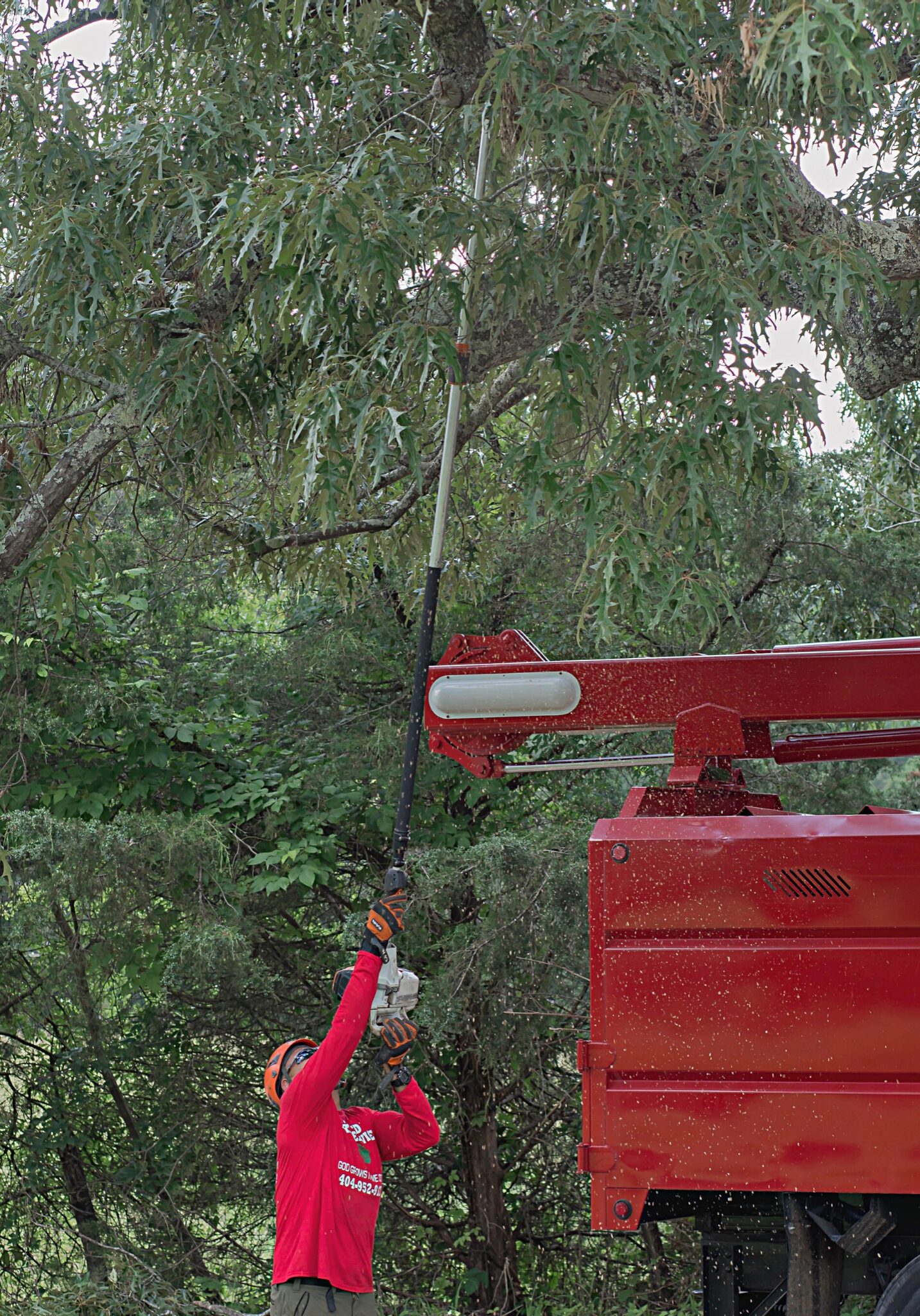 Tree Trimming Services - Big Red Tree Service - Loganville. Grayson, Snellville, Monroe, Dacula, Metro Atlanta Tree Trimming Services - Big Red Tree Service - Loganville. Grayson, Snellville, Monroe, Dacula, Metro Atlanta