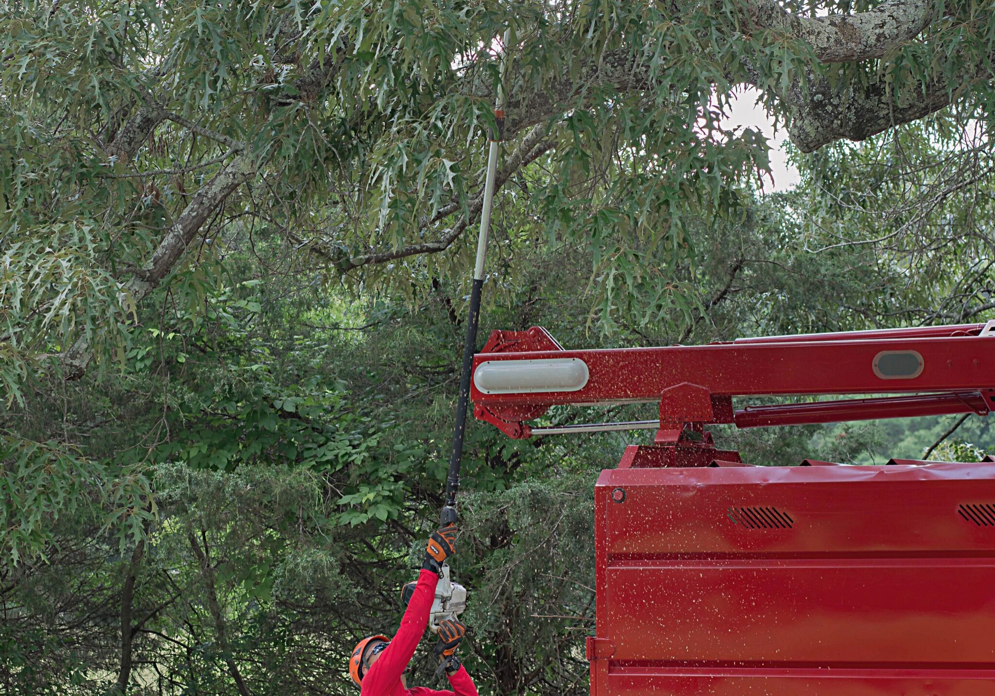 Tree Trimming - Big Red Tree Service, LLC - Loganville, Snellville, Dacula, Grayson, Metro Atlanta