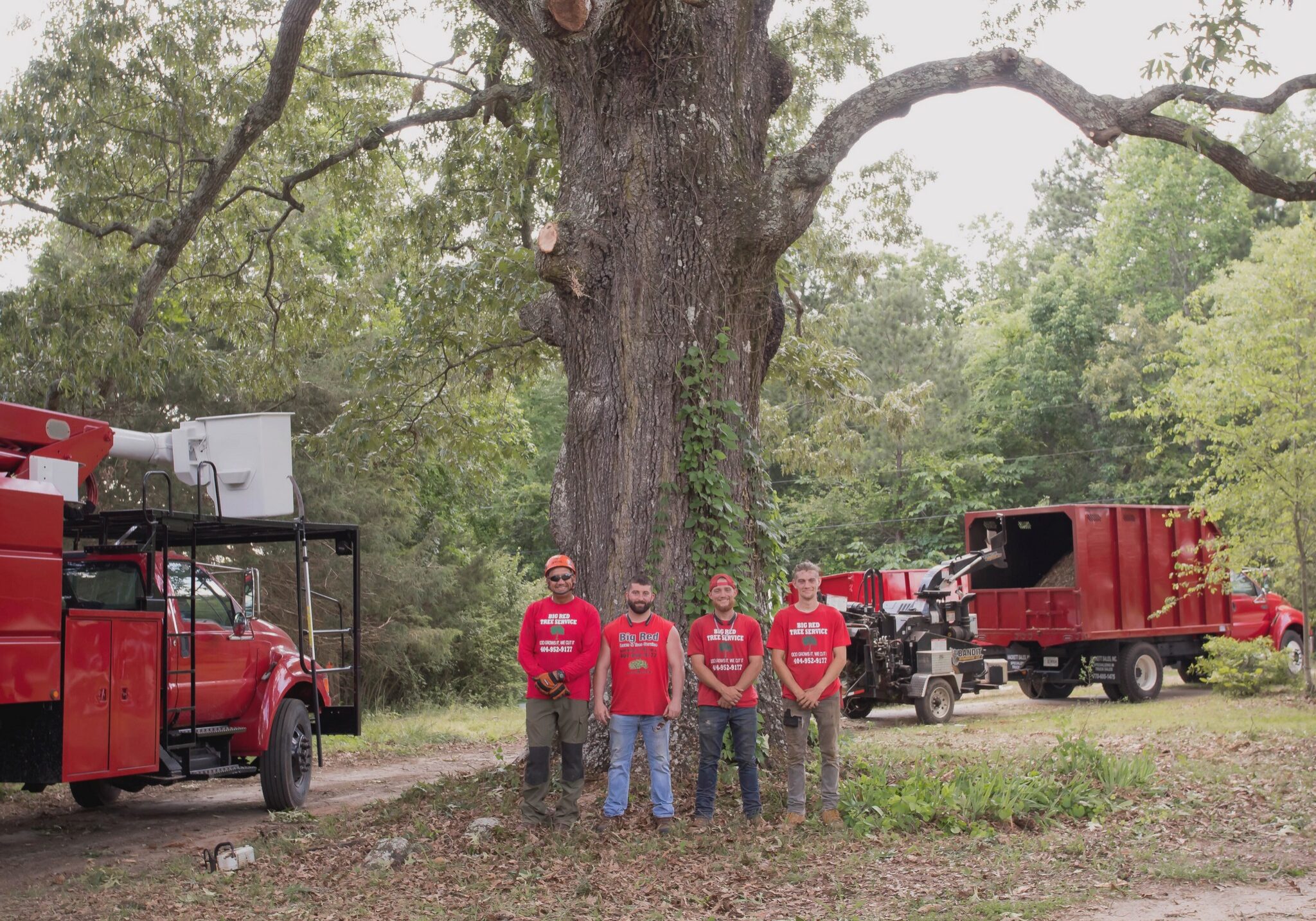 Stump Grinding, Tree Trimming and Removal - Loganville, Snellville, Grayson, Dacula, Monroe, Conyers, Covington, GA - Big Red Tree Service, LLC