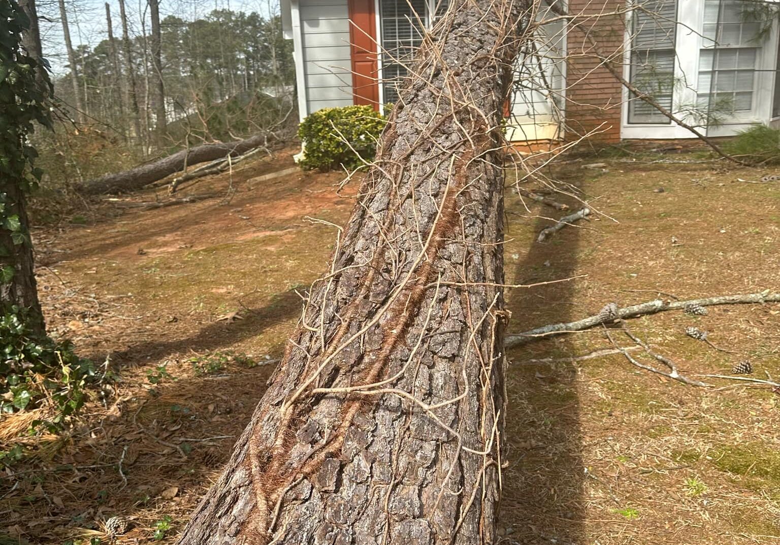 Emergency Tree Removal - Loganville, Snellville, Grayson, Dacula, Monroe, Conyers - Big Red Tree Service, LLC
