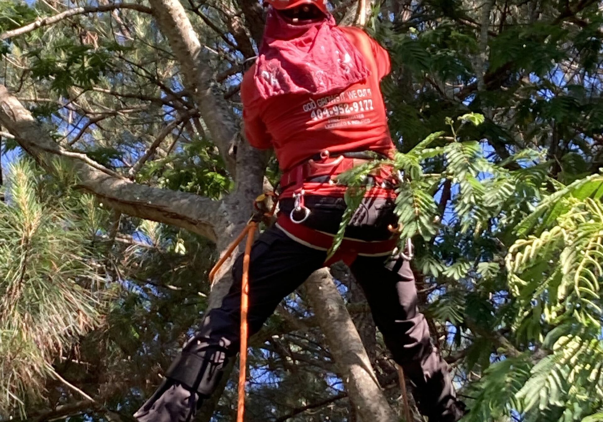 Big Red Tree Service - Loganville, GA