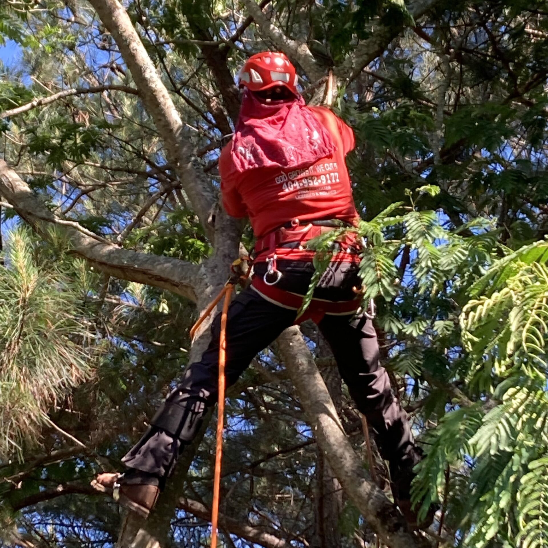 Big Red Tree Service - Loganville, GA