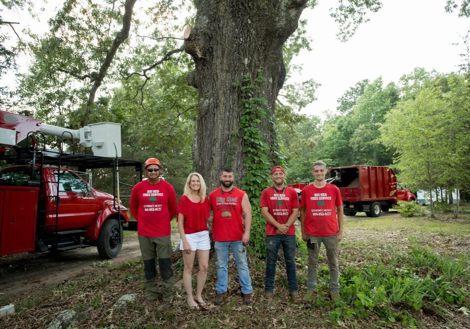 About Us - Big Red Tree Service, LLC