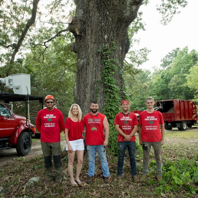 About Us - Big Red Tree Service, LLC