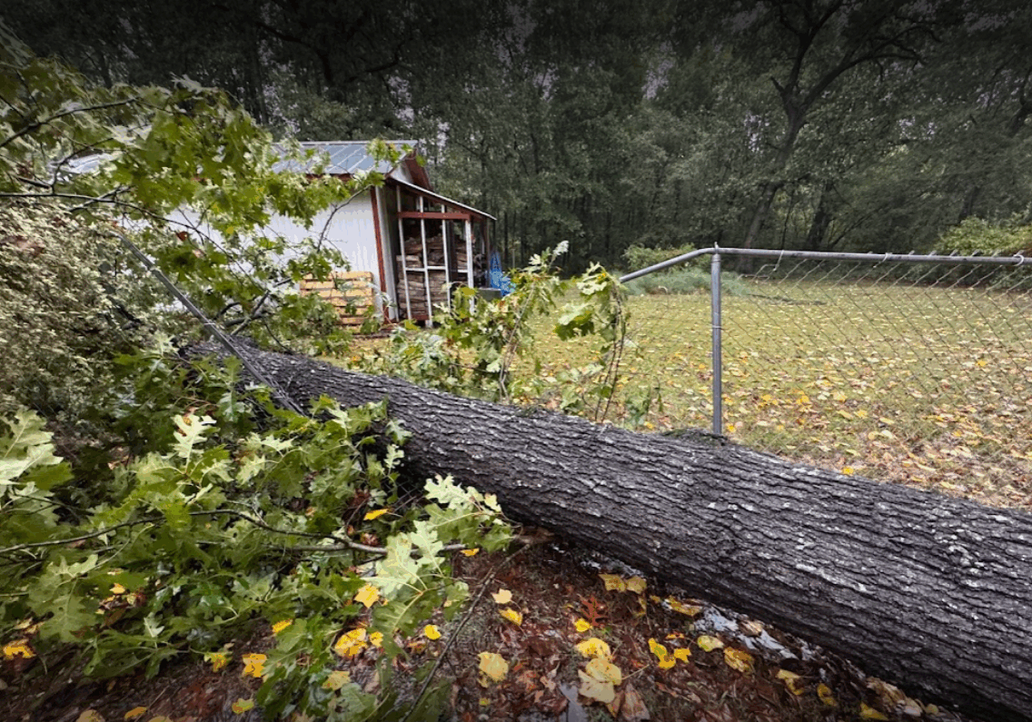 Storm prep and cleanup - Loganville, Snellville, Grayson, Dacula, Conyers, Monroe - Big Red Tree Service, LLC